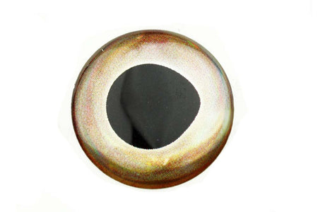 Du tilføjede <b><u>Living Eyes - Eis</u></b> til kurven.