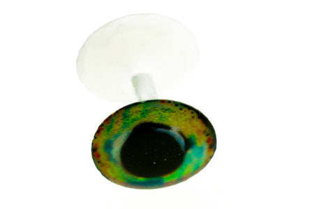 Du tilføjede <b><u>Leichte Hantel - Regenbogengeist</u></b> til kurven.