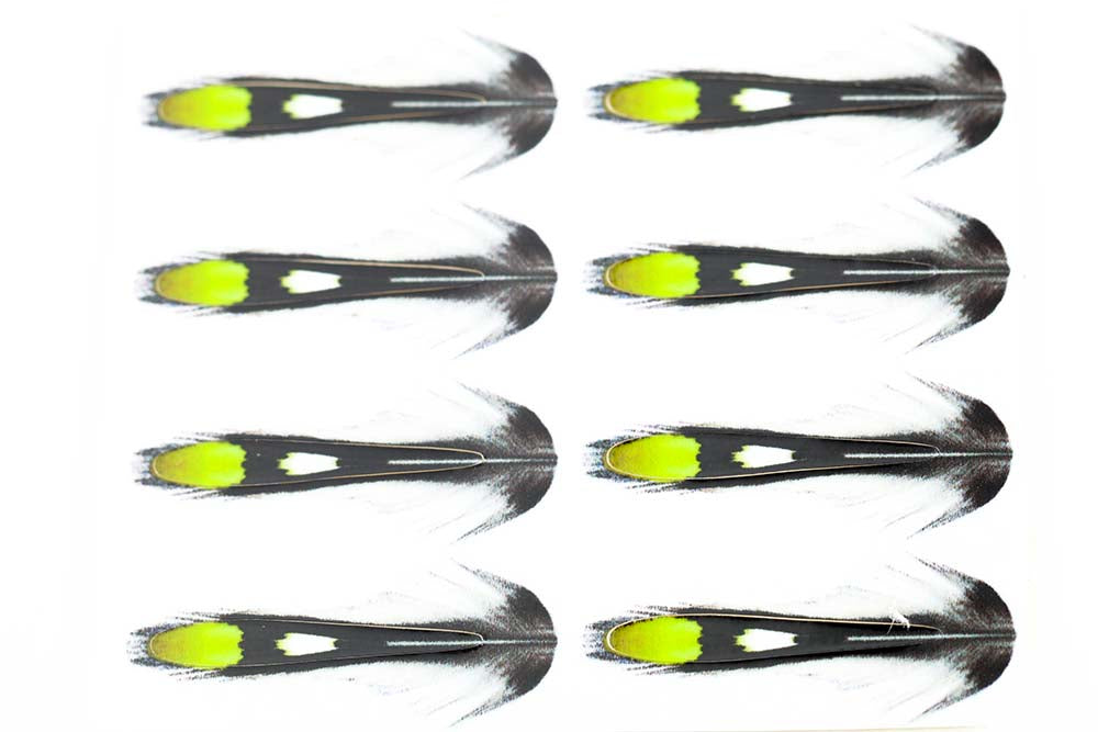 Junglecock Sub. - Chartreuse