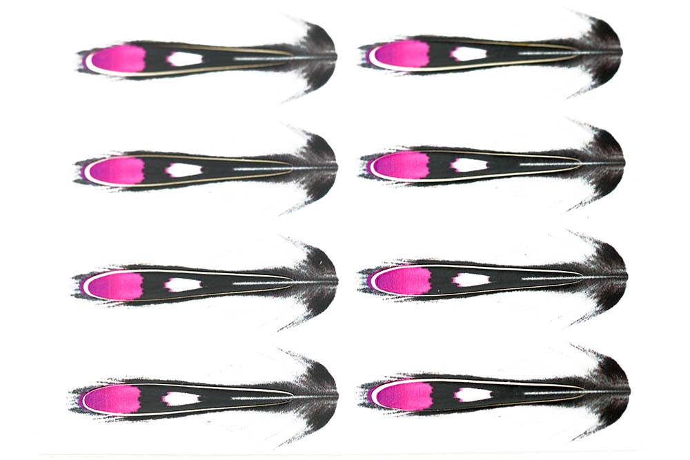 Junglecock Sub. - Fluo. Pink