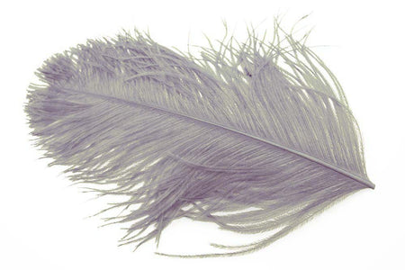 Du tilføjede <b><u>Straußenfedern</u></b> til kurven.