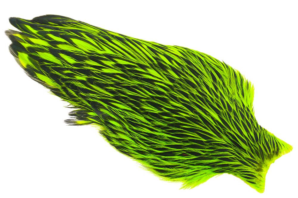 Whiting American Hen Cape Black Laced - Yellow