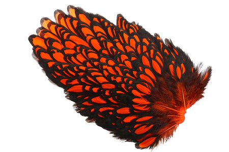 Du tilføjede <b><u>Whiting American Hen Sattel, schwarz gesäumt - orange</u></b> til kurven.