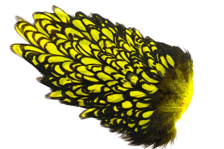 Du tilføjede <b><u>Whiting American Hen Sattelleder, schwarz gesäumt - gelb</u></b> til kurven.