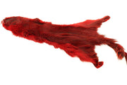Flyco Golden Squirrel - Red