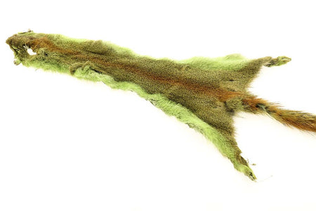 Du tilføjede <b><u>Flyco Golden Squirrel - Chartreuse</u></b> til kurven.