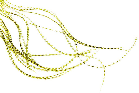 Du tilføjede <b><u>Whiting 100er-Packung – Grizzly Olive, Größe 14</u></b> til kurven.