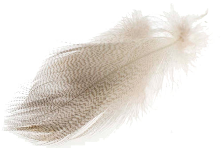 Du tilføjede <b><u>Stockente mit gebänderter Flanke - Natur</u></b> til kurven.