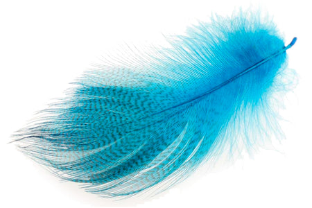 Du tilføjede <b><u>Stockente mit gebänderter Flanke – Pfauenblau</u></b> til kurven.