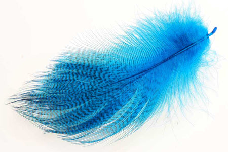 Du tilføjede <b><u>Große Stockentenflügel, ausgewählt – Pfauenblau</u></b> til kurven.
