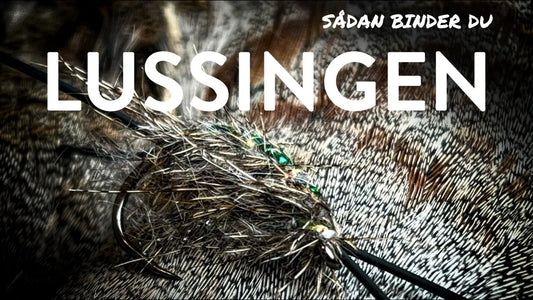 Du tilføjede <b><u>Die Lussingen</u></b> til kurven.