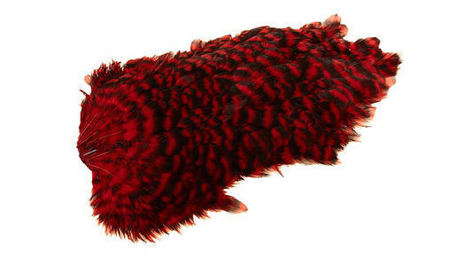 Du tilføjede <b><u>4 B's Hen Saddle Grizzly gefärbt Rot</u></b> til kurven.