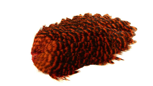 Du tilføjede <b><u>4 B's Hen Saddle Grizzly gefärbt Orange</u></b> til kurven.