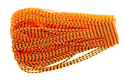 Sili Legs NYMPH - Barred Orange 