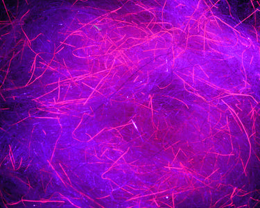 Du tilføjede <b><u>Spawn's UV Simi Seal Dubbing - UV Pink Steel</u></b> til kurven.