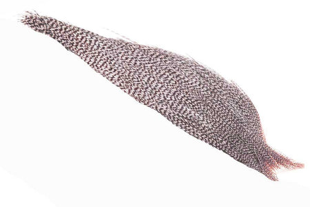Du tilføjede <b><u>1/2 (Profi-Qualität) Whiting Red Label Trockenfliege - Grizzly-Daunen</u></b> til kurven.
