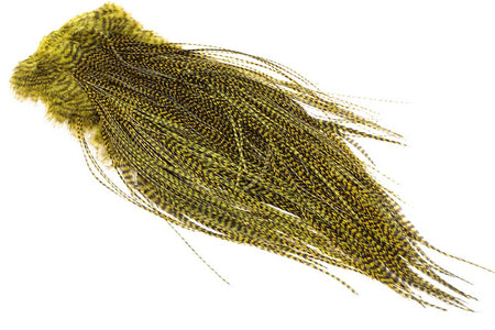 Du tilføjede <b><u>(Profi-Qualität) Whiting Red Label Sattel – Grizzly Golden Olive</u></b> til kurven.