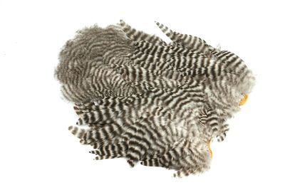 Du tilføjede <b><u>Whiting Rooster Softhackle W Chickabou SH/C - Grizzly</u></b> til kurven.
